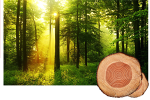  怎樣選擇合適的木門比較好的呢？