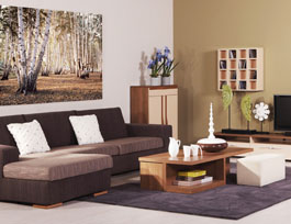 全屋定制家具專(zhuān)賣(mài)店為什么會(huì)被迫關(guān)店？